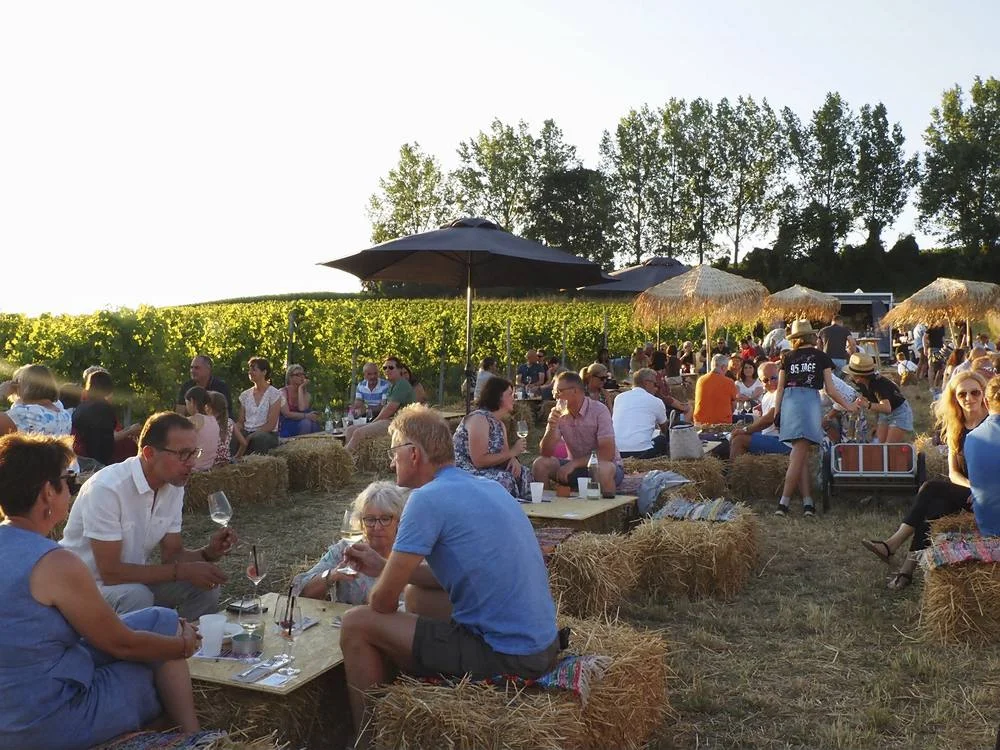 Gäste genießen Live-Musik und Getränke zwischen den Reben